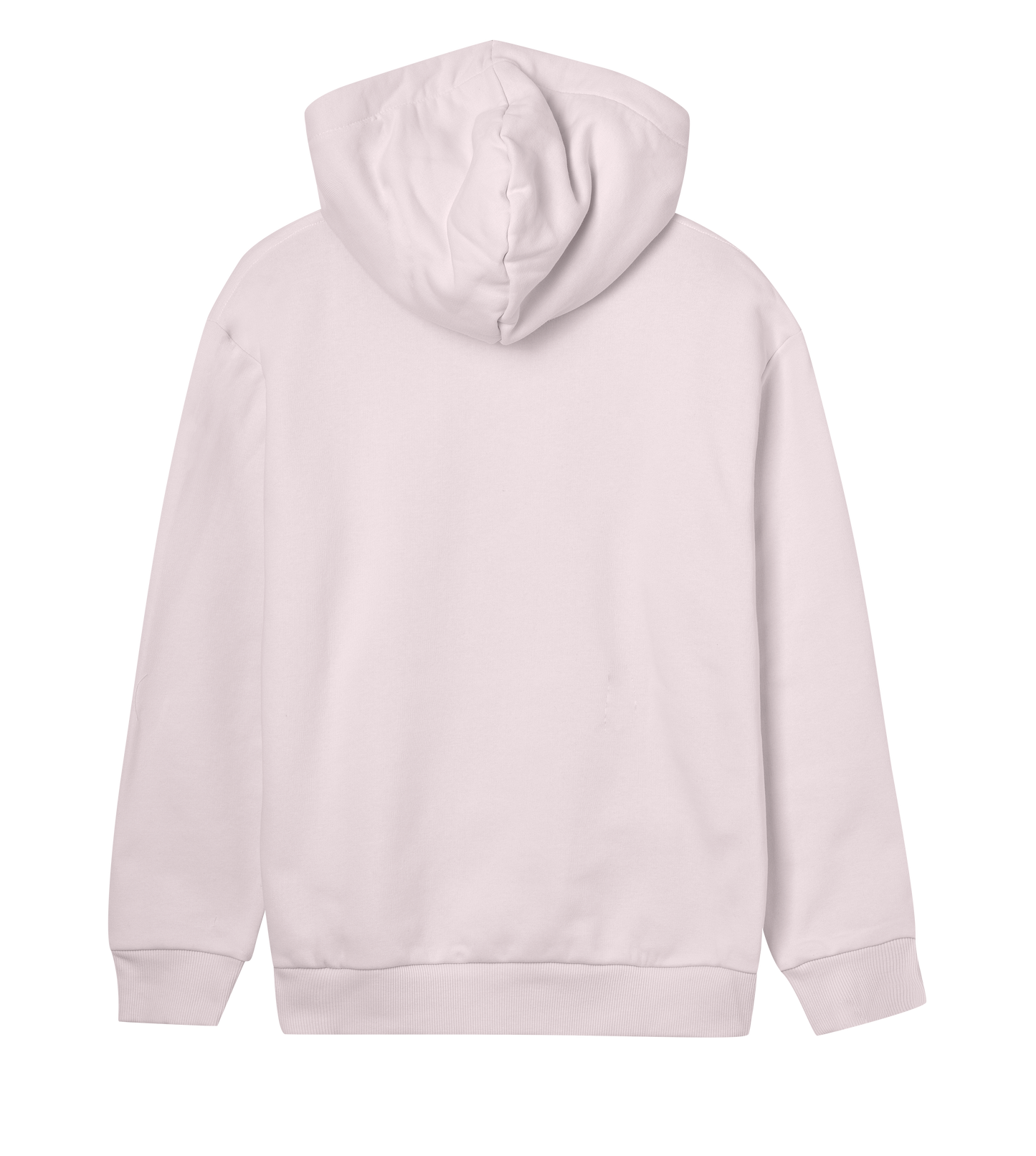 Women's Regular Hoodie - Jebiga just DK