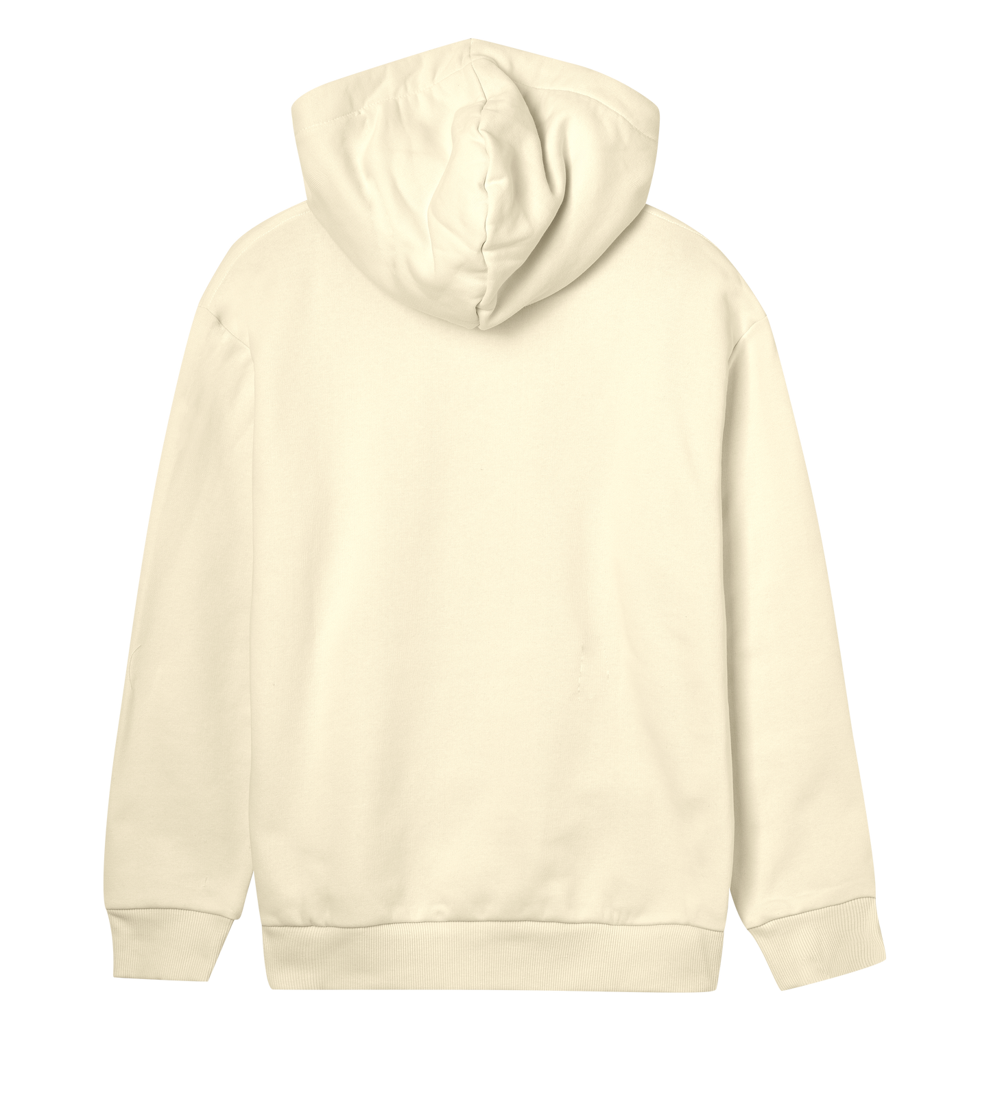 Women's Regular Hoodie - JBG Original