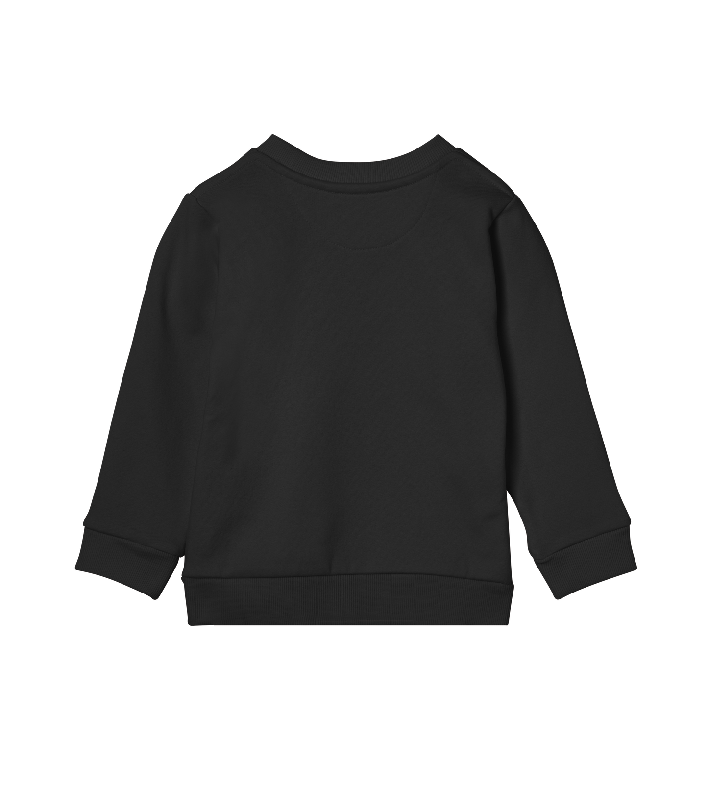 Kids Sweatshirt - Jebiga just DK