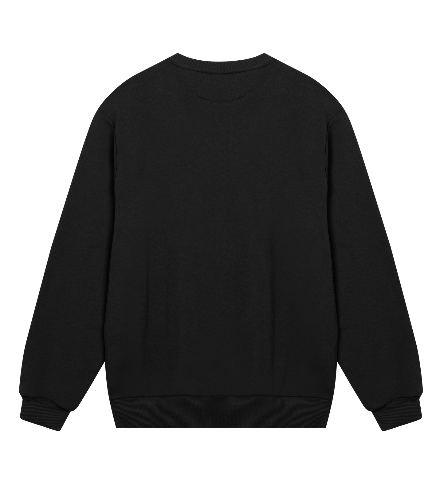 Men's Regular Sweatshirt - Jebiga just DK