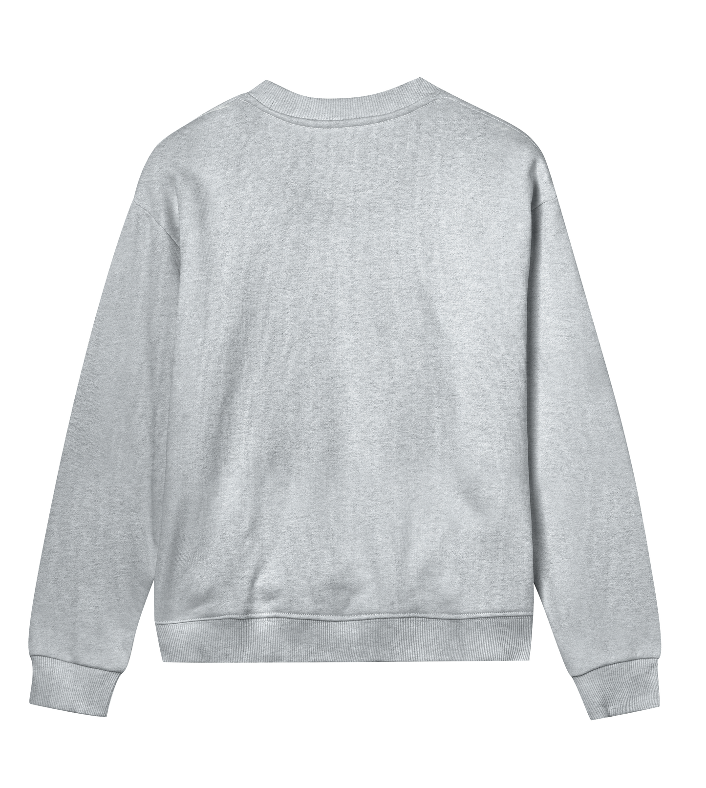 Women's Regular Sweatshirt - Jebiga just DK