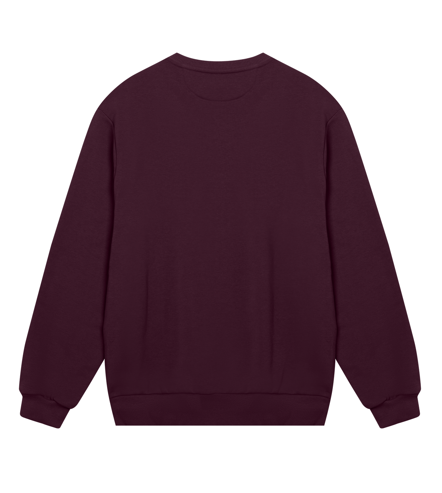 Men's Regular Sweatshirt - Jebiga just DK