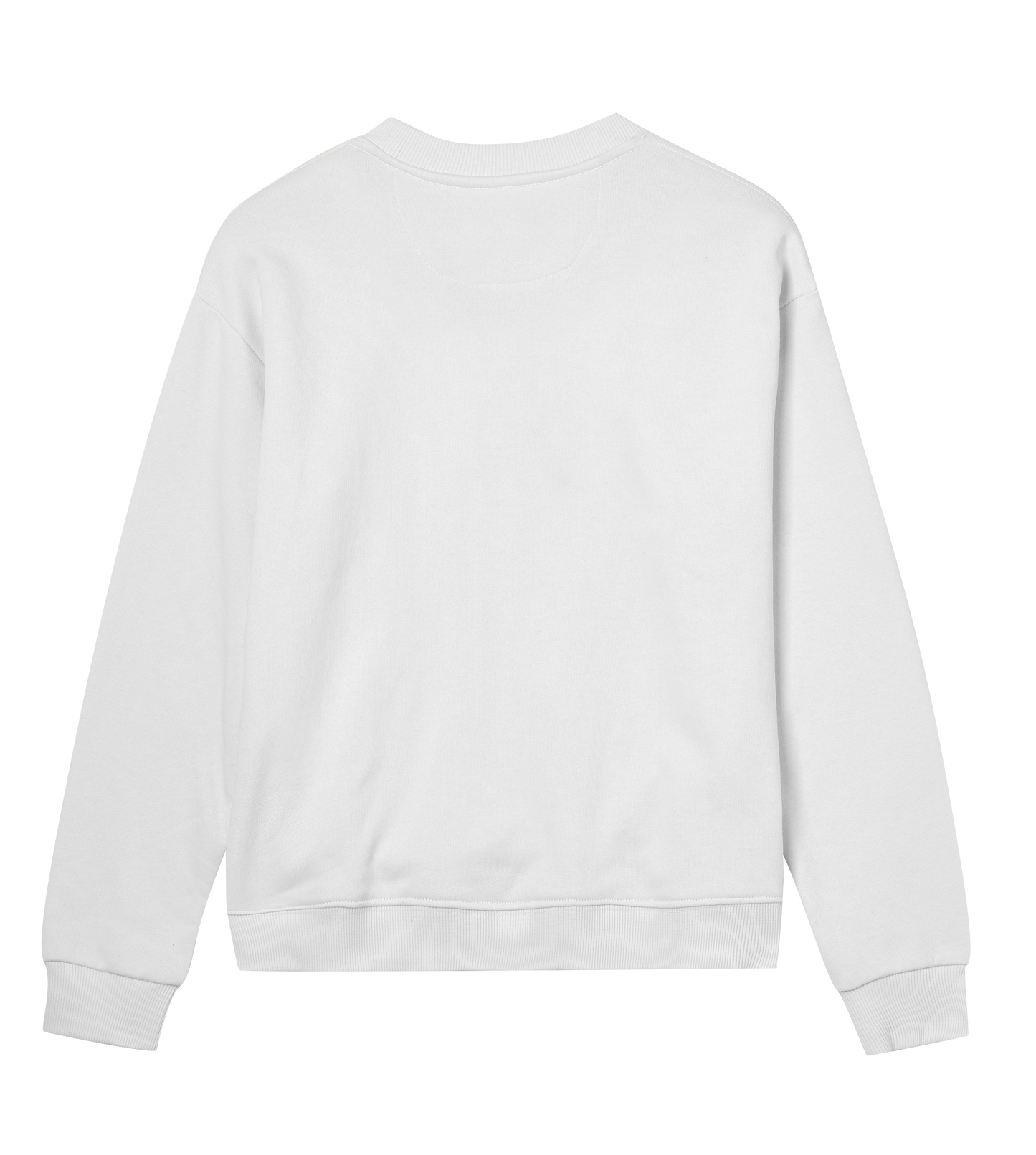 Women's Regular Sweatshirt - Jebiga just DK