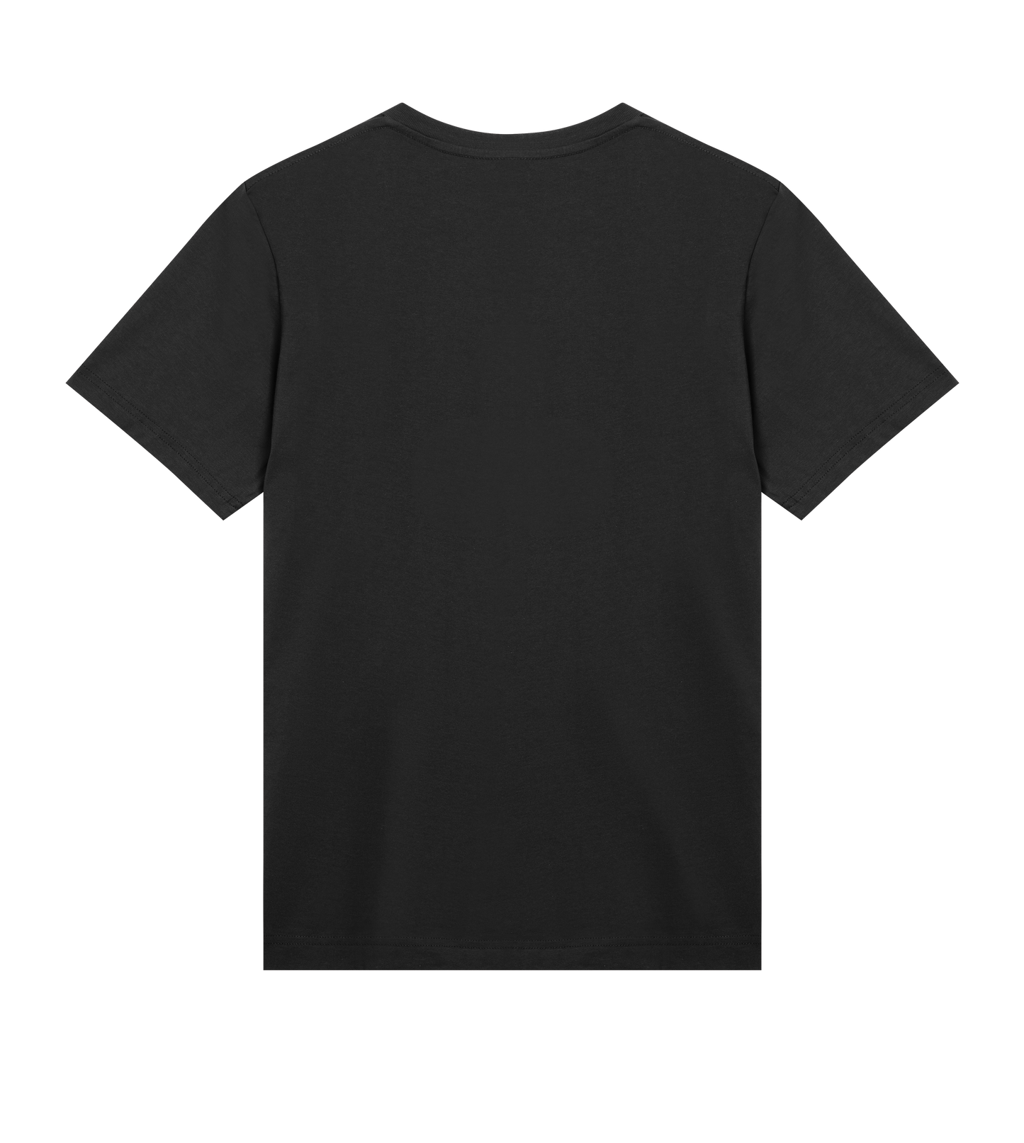 Men's Regular T-shirt - Jebiga just DK