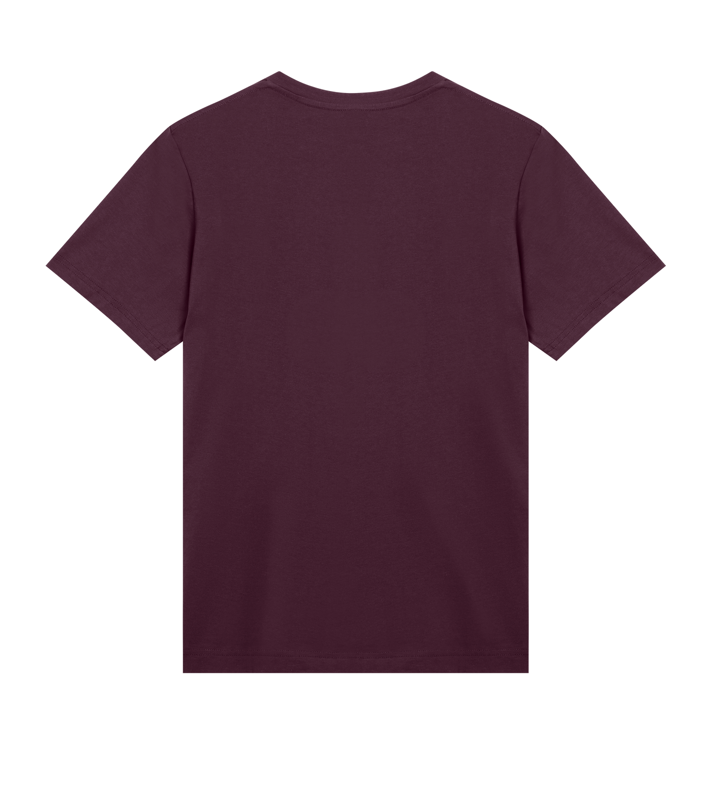 Men's Regular T-shirt - Jebiga just DK